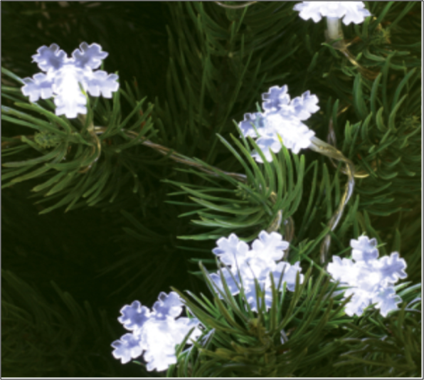 Belt�ri h�krist�ly mini f�nyf�z�r, hideg feh�r sz�nben, 10 LED